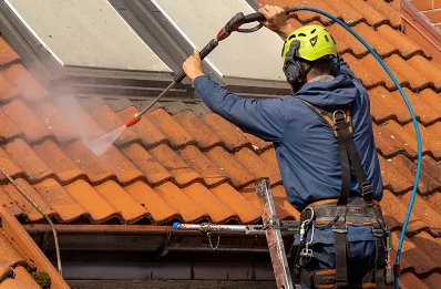 Démoussage et hydrofuge de toiture à Trizay-Coutretot-Saint-Serge